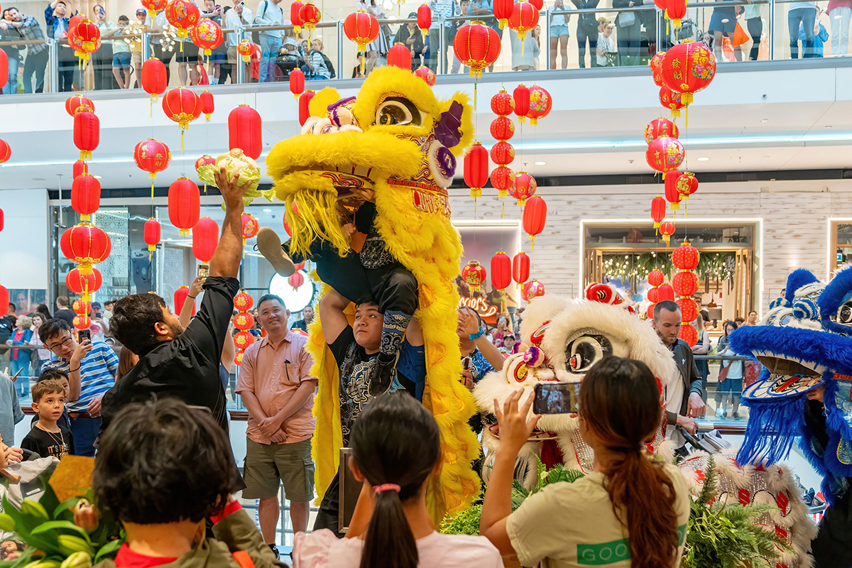 Westfield Chatswood Lunar New Year Lion Dance - Web.jpg