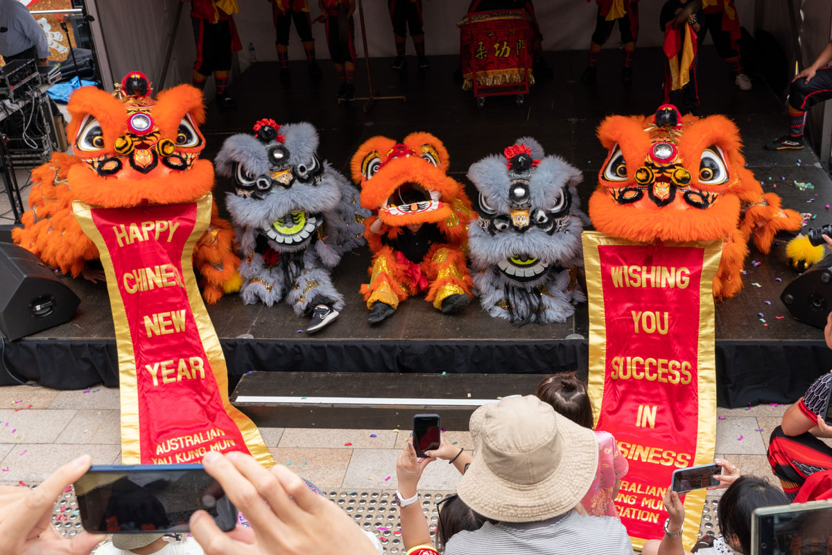 Lunar New Year Celebration Day 2024 Chatswood Year of the Dragon Festival