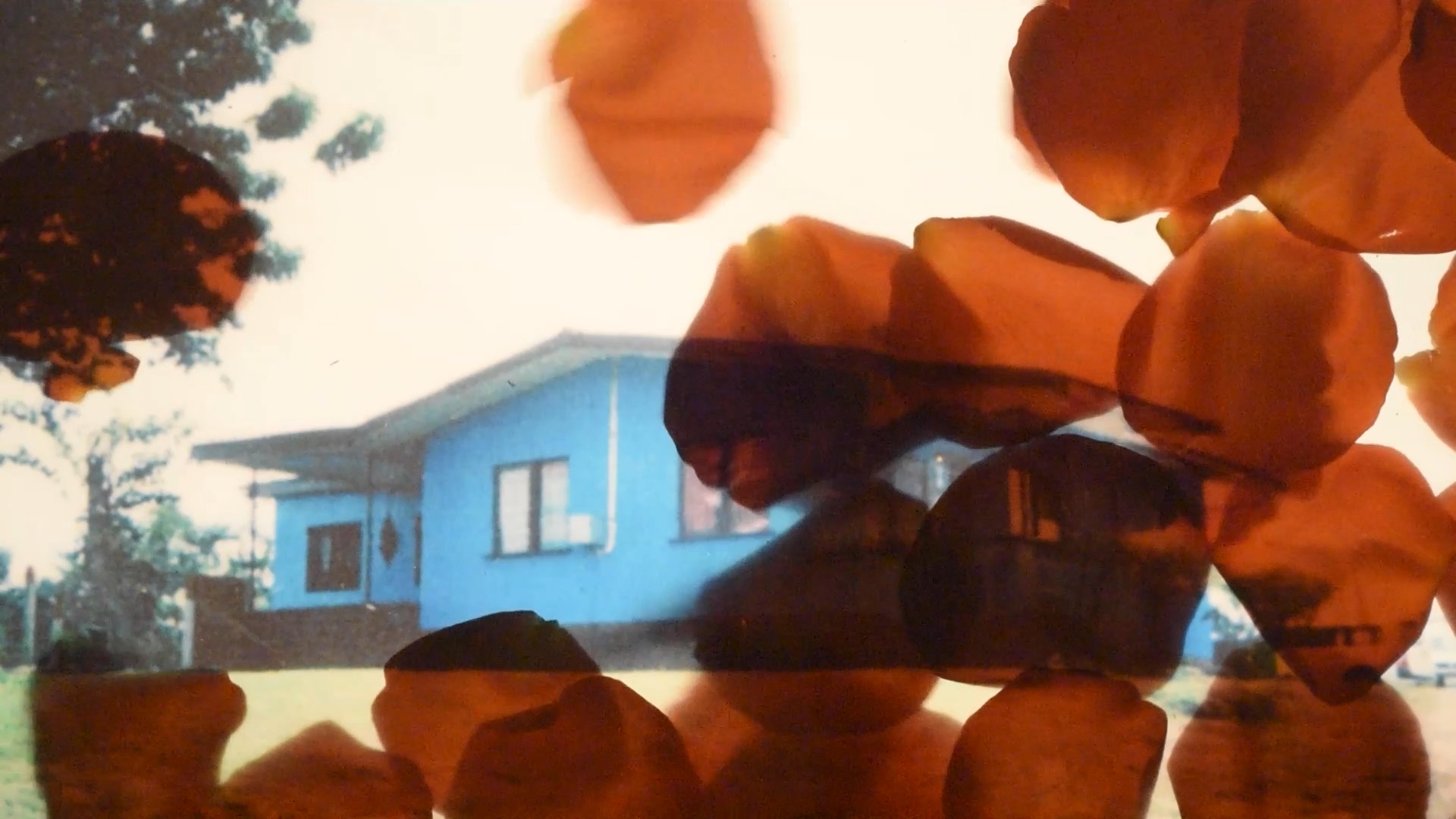 Shivanjani Lal, “Yalava” (detail from “Ghar”), 2023, video still. Image courtesy of the artist