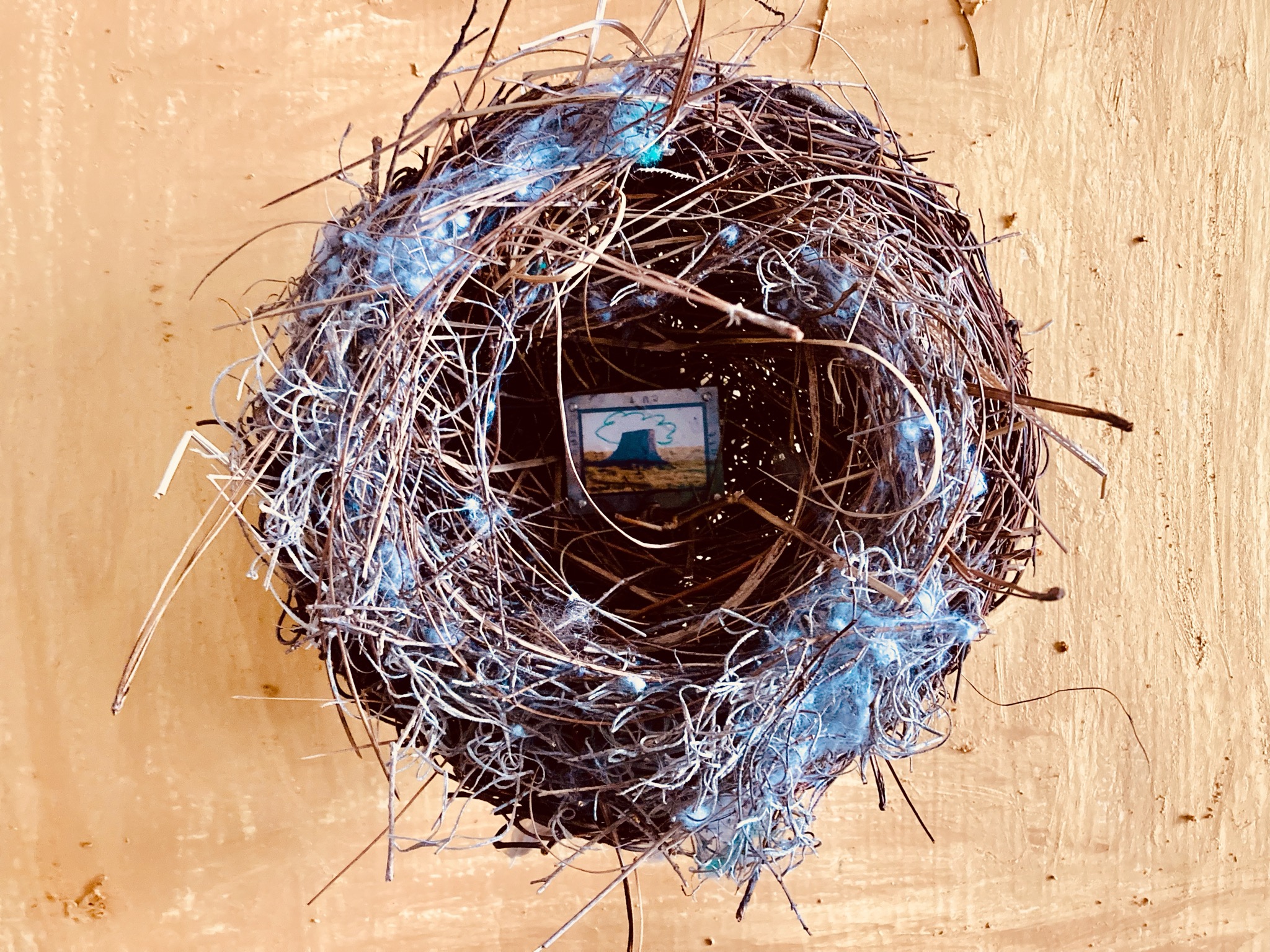 Jude Fowler-Smith, 'Home', 2024, found birds nest - vine, leaves and twigs, photo framed in metal and perspex,